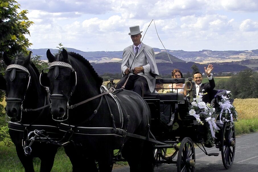 Hochzeitskutsche mit Friesen vor Eifel-Panorama