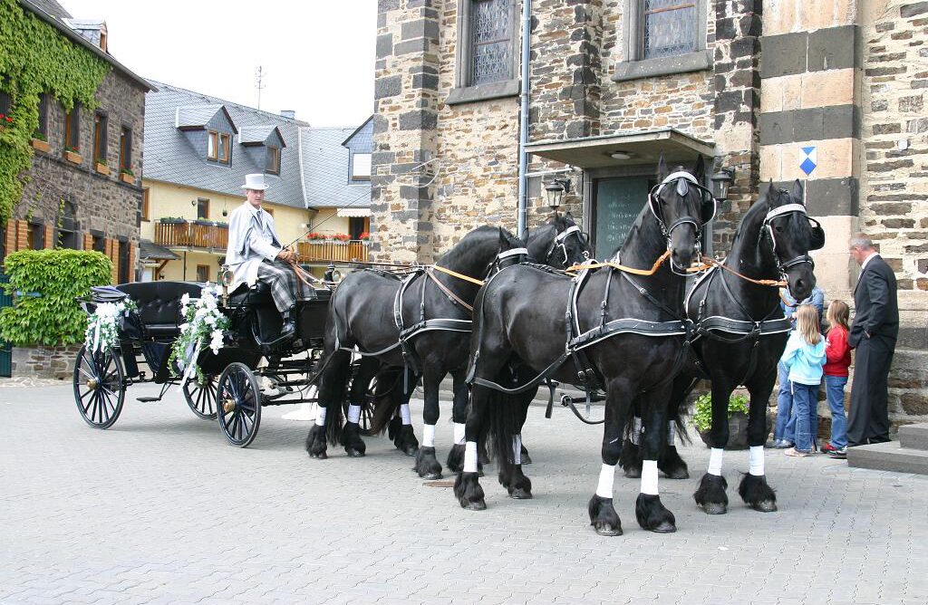 Vierspänner mit Hochzeitskutsche an der Kirche